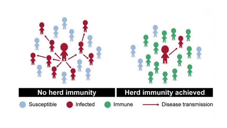 what-is-herd-immunity-upsc-notes