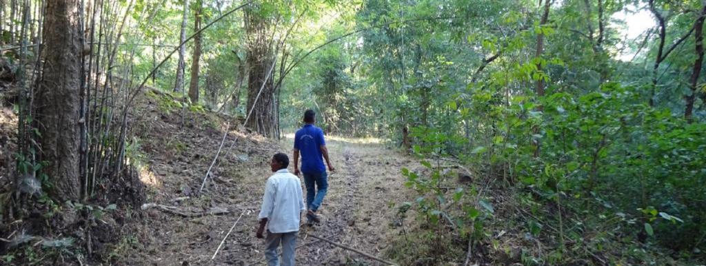 Community Forest Resource (CFR) Rights - UPSC Notes