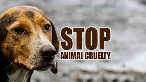 Draft Prevention Of Cruelty To Animal (Amendment) Bill-2022 - UPSC Notes