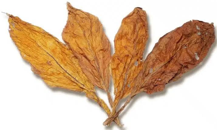 fcv tobacco Canadian Virginia Flue Cured 2017 USA Virginia Flue Cured